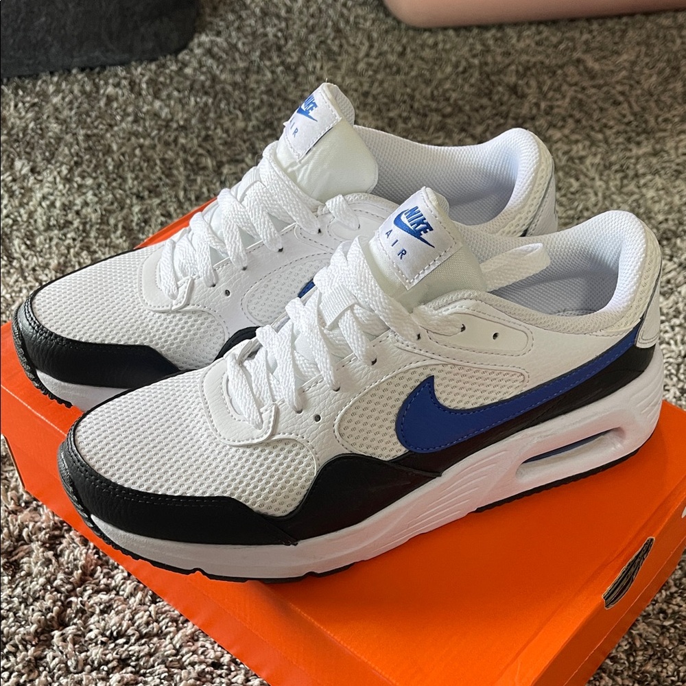 Nike Air Max Sneakers